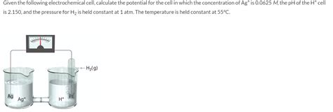 Consider The Following Electrochemical Cell