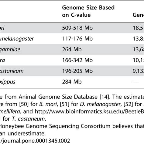 Genome Sizes And Predicted Protein Coding Gene Numbers From Insect