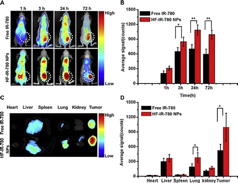 Figure From Ir Dye Loaded Tumor Targeting Theranostic