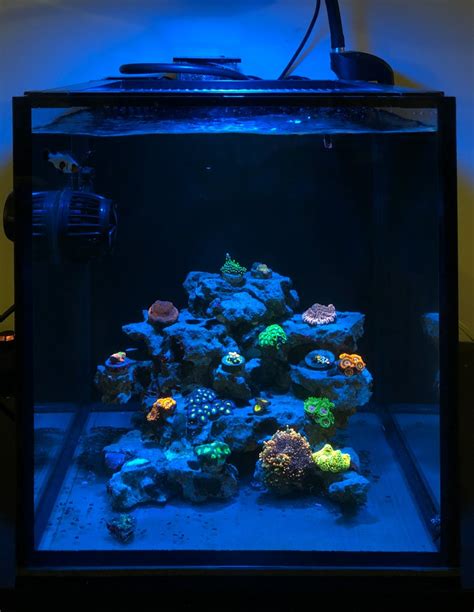 Nano Build Show Your Nano Aquarium Here Page 115 Reef2reef