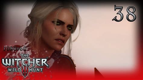 Witcher Wild Hunt P