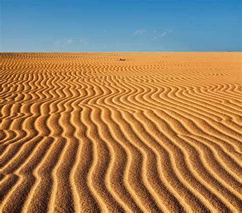 What To Do In Corralejo | Corralejo Dunes Natural Park