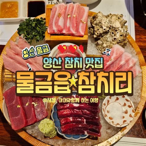 양산참치맛집 범어 택지 혼술 하기 좋은 물금읍참치리 네이버 블로그