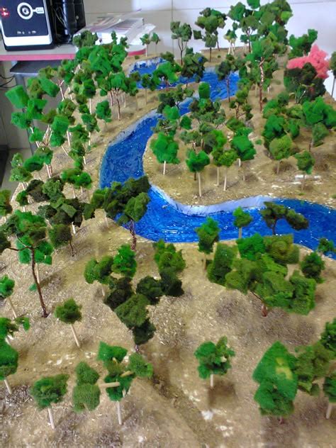 Maquete Sobre O Cerrado - Maquete Cerrado Brasileiro