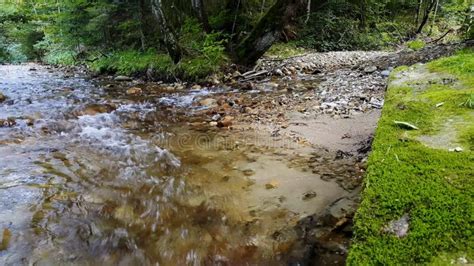 Rushing Creek Passes Through Narrow Rock Filled Valley Stock Video