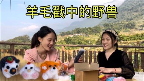 小黄小梅用毛线戳做可爱的小动物 小老鼠变成小狗 🤣｜ Xiaohuang Xiaomei Uses Wool To Poke Into