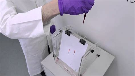 Forensic Science Degree Blood Spatter Analysis Youtube