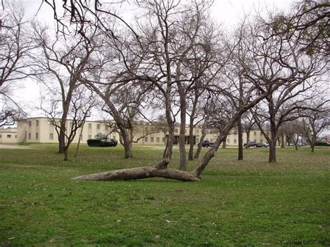 California Crossing Comanche Marker Tree – TxHTC