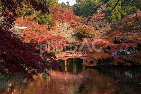 京都 醍醐寺 伽藍 林泉 弁天堂 紅葉 No 4240252｜写真素材なら「写真ac」無料（フリー）ダウンロードok