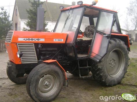 Zdjęcie traktor Ursus C 385 id 69141 Galeria rolnicza agrofoto