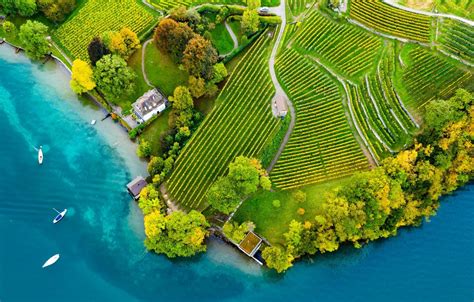 Wallpaper trees, road, home, boats, Switzerland, Switzerland, Bernese Oberland district, aerial ...