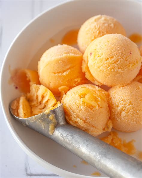 Peach Sorbet Primal Wellness