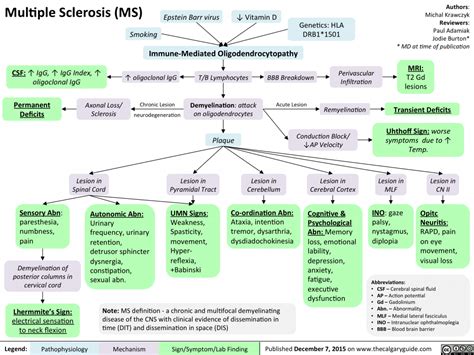 Multiple Sclerosis (MS) | Calgary Guide