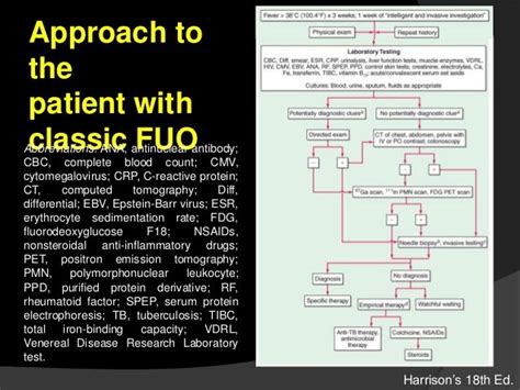 fever  unknown origin fuo