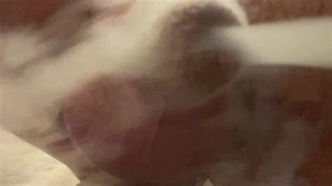 Cloudy Stream On My Cock Pornhub Gay