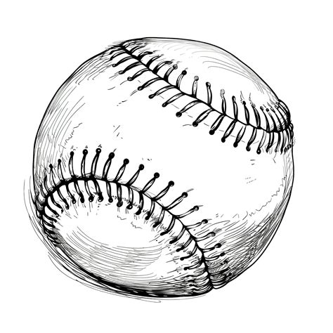 Line Art Baseball Illustration Vector, Baseball, Sports, Team PNG