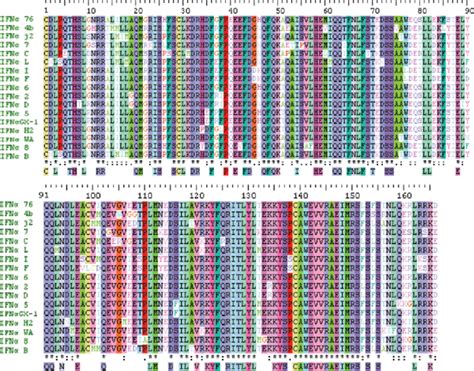 CLUSTAL W version 1.4 structure-based multiple sequence alignment of 17 ...