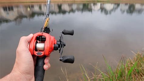 Bank Fishing An Urban Pond Loaded W Huge Bass Bass Manager The