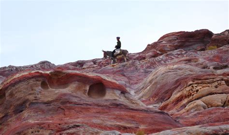 Trek wadi rum Trek Bédouin grand rift cité rose et wadi rum