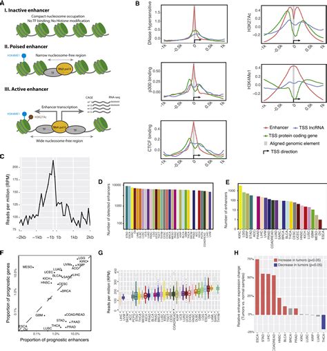 A Pan Cancer Analysis Of Enhancer Expression In Nearly 9000 Patient