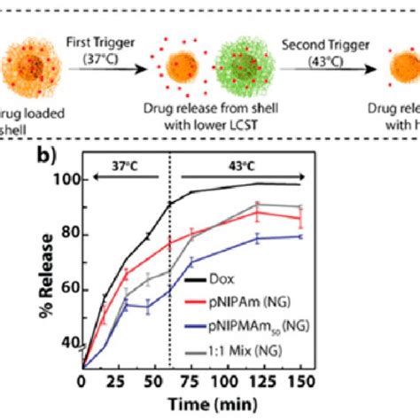 Scheme Of Different Stimuli Responsive Nanogels In Response To