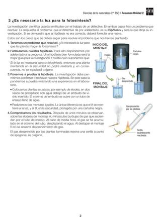 Plantas Pdf