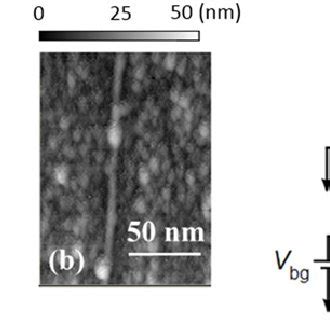 A Afm Topography Image Of The Device Structure With Nm Contact