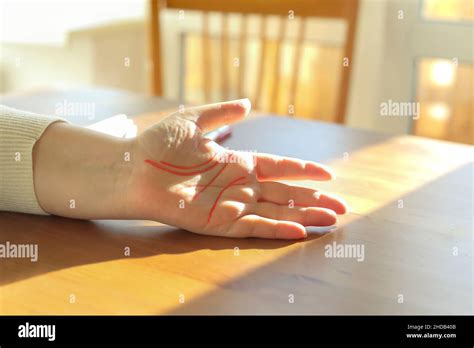 Palm Reading Palmistry Lines Hi Res Stock Photography And Images Alamy