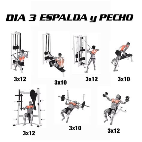 Pin En Ejercicio En 2024 Rutinas De Ejercicio Gimnasio Rutinas De Entrenamiento Rutina Para