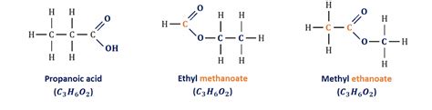 Isomerism of Functional Groups and Naming Organic Compounds | Elucidate ...