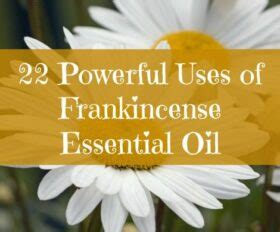 22 Powerful Uses of Frankincense Essential Oil - Backdoor Survival