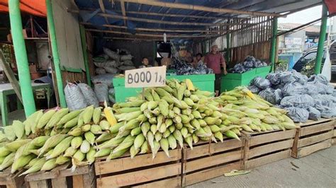 Manfaatkan Momentum Tahun Baru Pedagang Jagung Manis Ramai Diburu