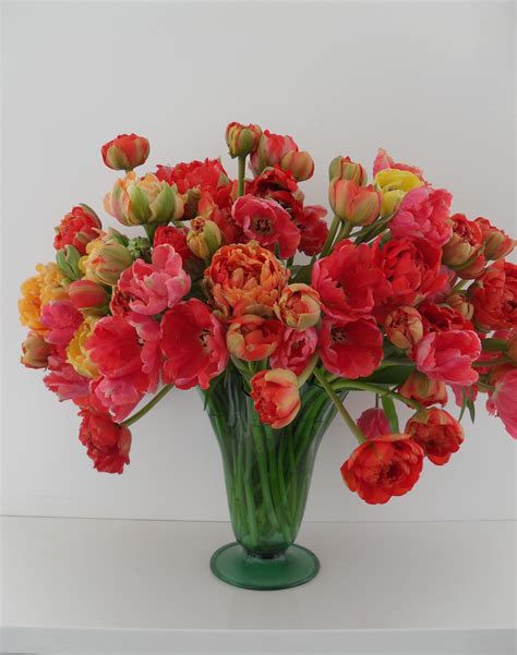 Double Parrot Tulips Parrot Tulips Floral Arrangements Vase Bright