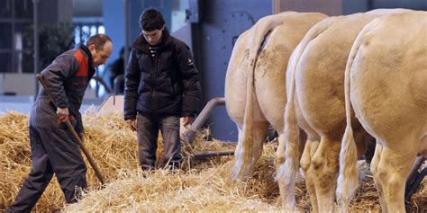 Les agriculteurs restent marqués par des valeurs traditionnelles