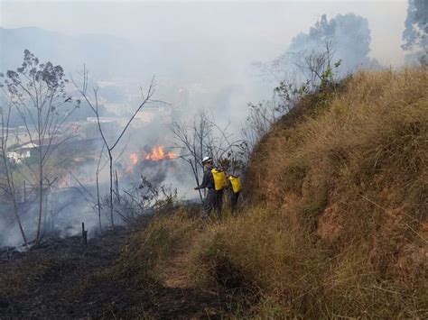 G1 Incêndio consome três hectares de vegetação em Poços de Caldas MG