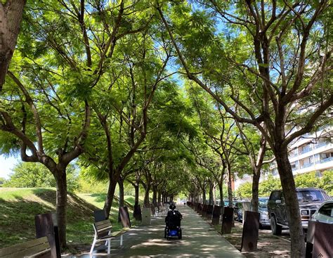 A Wheelchair Accessible Travel Guide to Buenos Aires, Argentina