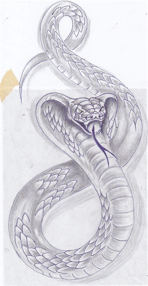 Serpiente pro Das schönste Bild für Serpent Tattoo Gamba, das für Ihre ..., #Picture #da ...