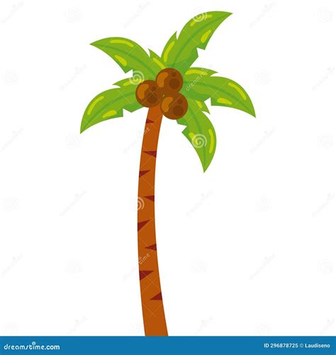 Isolated Colored Palm Tree With Coconuts Vector Stock Vector