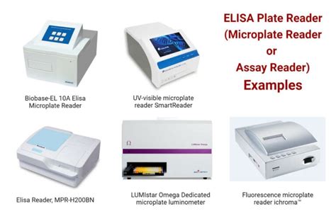 Elisa Plate Reader Microplate Reader Or Assay Reader