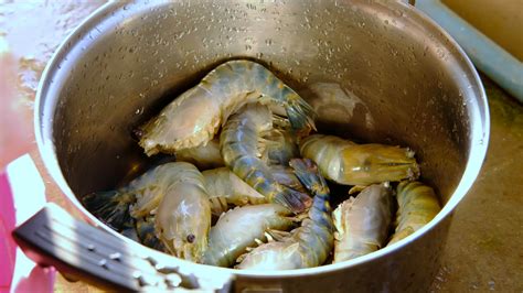 Identification Of Prawns Shrimps And Their Culture 4