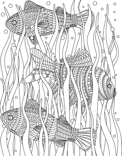 fish coloring pages   printable