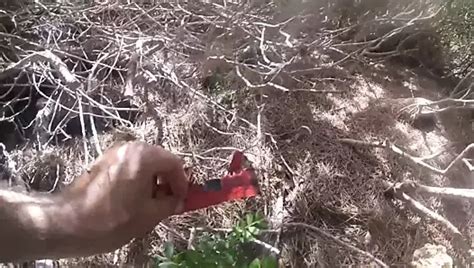 Lvav Ep32 Beach Porn XHamster