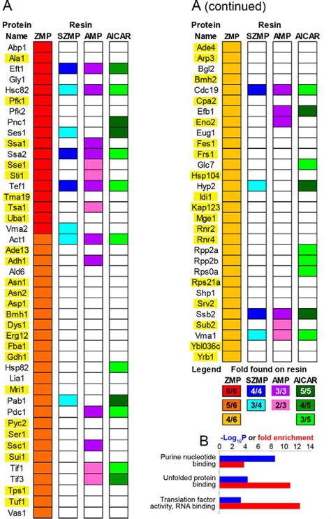 Metabolomics And Proteomics Identify The Toxic Form And The Associated