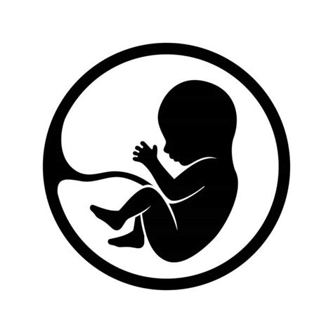 Fetus Illustrations Royalty Free Vector Graphics And Clip Art Istock