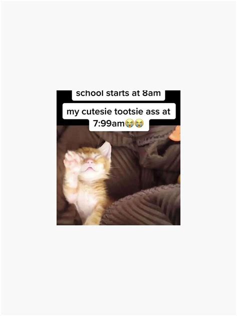 My Cutesie Tootsie Ass At 7 99am Sticker For Sale By Jsd444 Redbubble