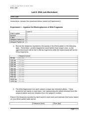 Lab Dna Lab And Journal Worksheet Docx Click Or Tap Here To Enter