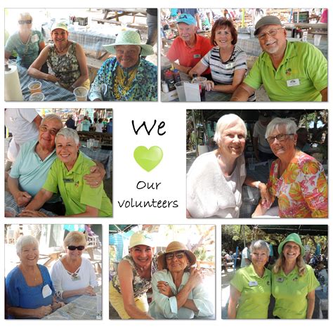 Volunteer - Visit Venice FL