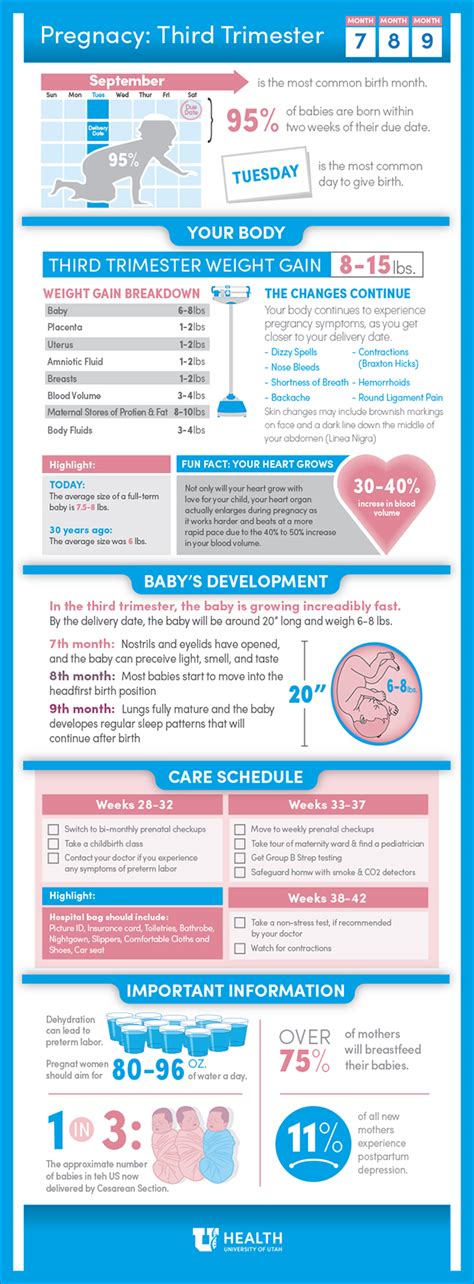 Pregnancy - Third Trimester | University of Utah Health | University of Utah Health