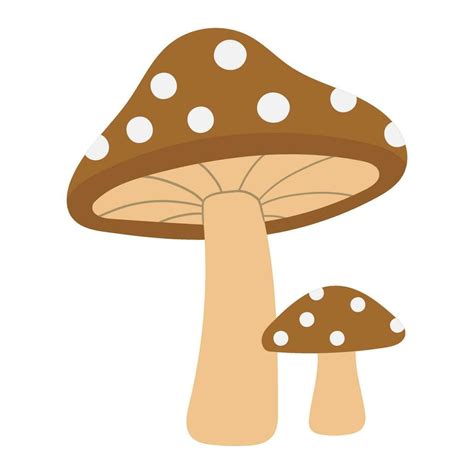 Mushroom Vector Illustration 28687848 Vector Art At Vecteezy