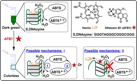 Visual Detection Of Aflatoxin B And Zearalenone Via Activating A New